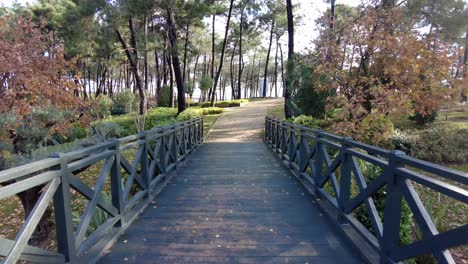 a wooden bridge over a small creek in a park