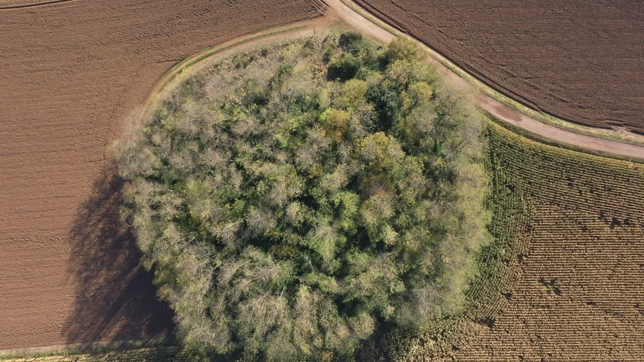 작은 수의 나무