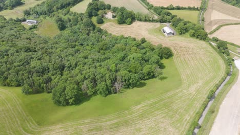 Aerial-view-of-trees-growing-into-a-field-as-part-of-a-rewilding-effort-in-Devon,-UK,-showcasing-natural-landscape