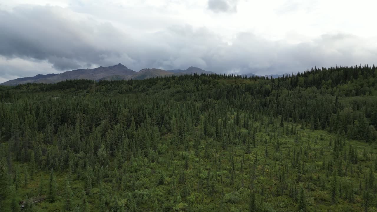 el hermoso paisaje de alaska, el desierto puro y los bosques.