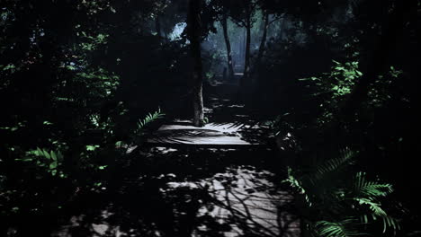 mysterious path through a lush tropical forest