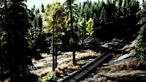 una vía de tren atraviesa un denso bosque