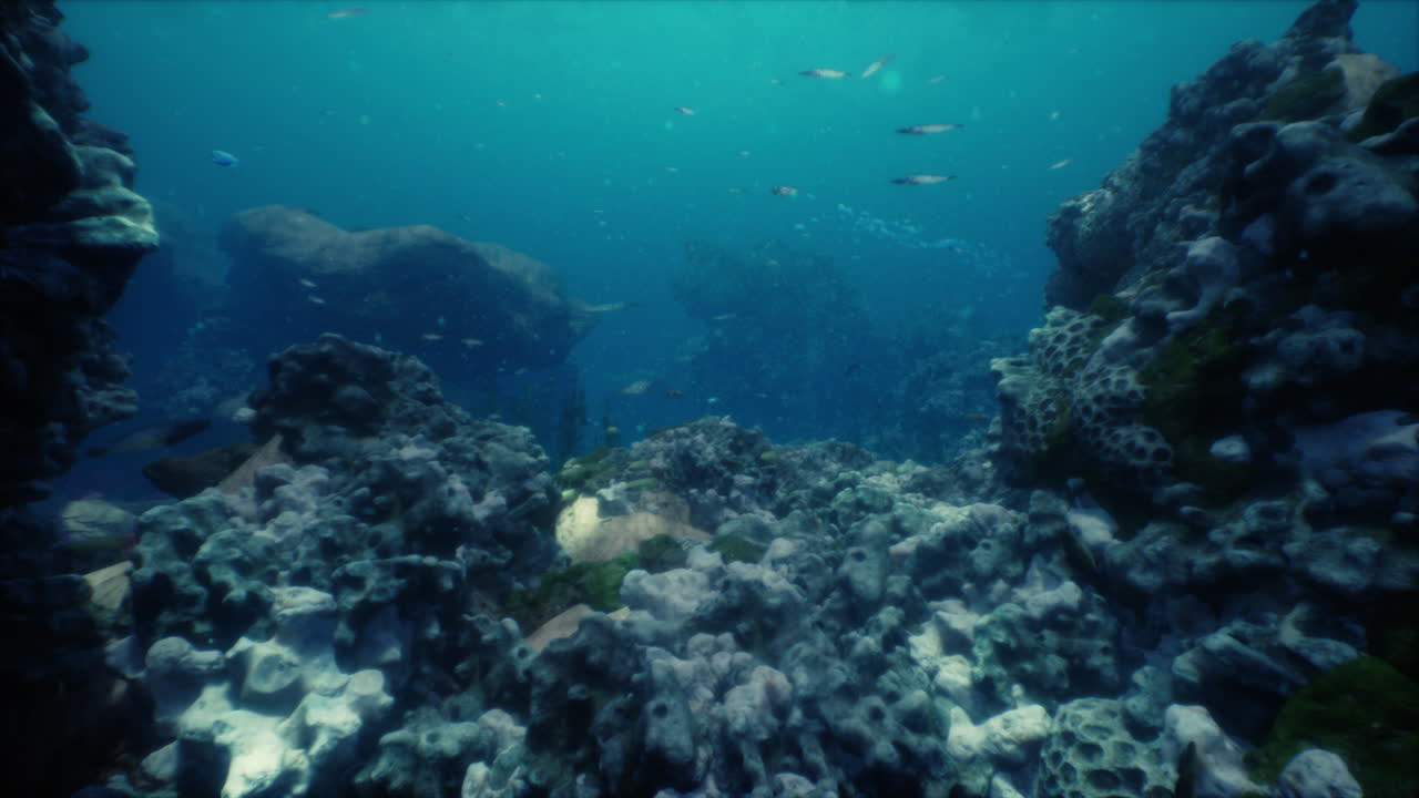 Shallow ocean floor with coral reef and fish