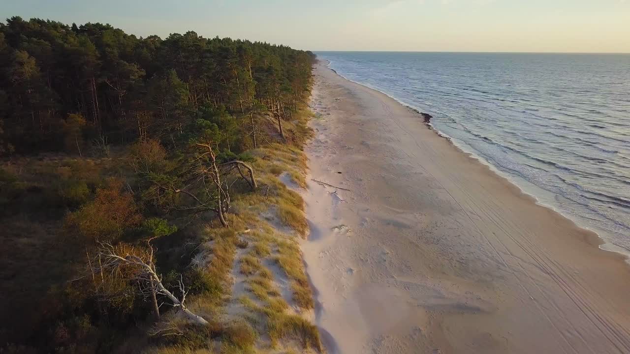 Beautiful aerial establishing view of Baltic sea coast on a sunny evening, sunset, golden hour, beach with white sand, coastal erosion, climate changes, wide angle drone shot moving backward
