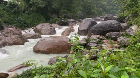 Lecho-Del-Río-Joldhaka,-Jhalong---Dooars,-Bengala-Del-Norte---Bengala-Occidental,-India-En-Un-Día-Lluvioso