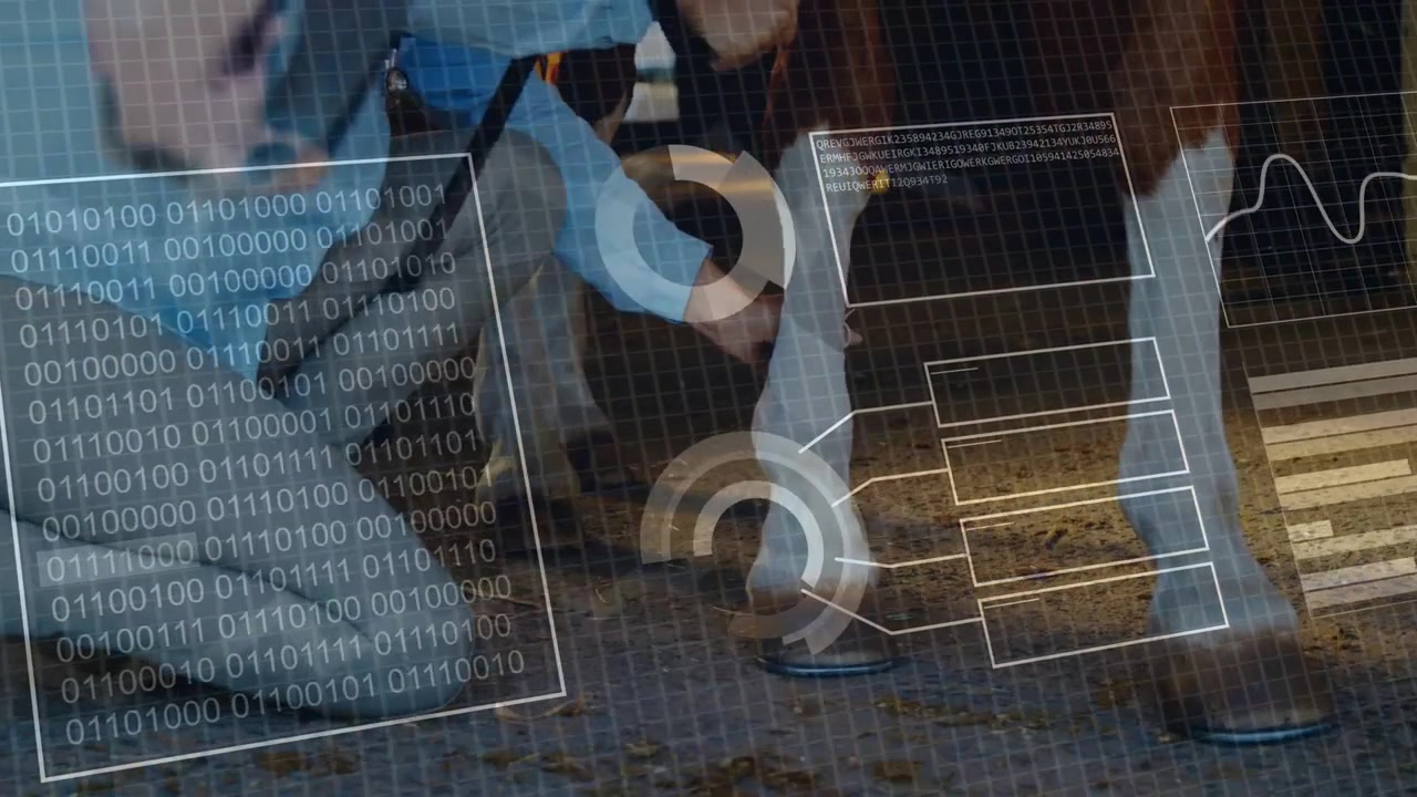 Addestratore che si avvicina e si inginocchia controllando la capezza e le protezioni del cavallo con uno strumento blu mentre l'HUD esegue la scansione.