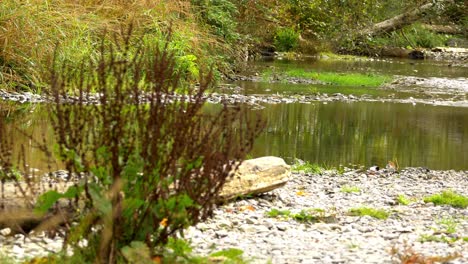 Establecedor-Del-Entorno-Alrededor-De-Un-Arroyo-O-Río-Seco.