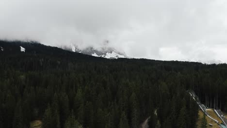 aerial view of a dense forest surrounding the dolomites in italy