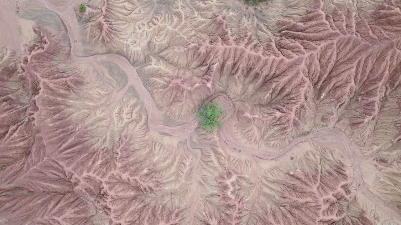 콜롬비아 타타코아 사막의 붉은 점토층과 식생