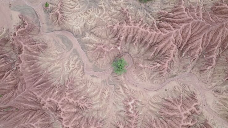 Red Clay Formations And Vegetation In Tatacoa Desert, Colombia