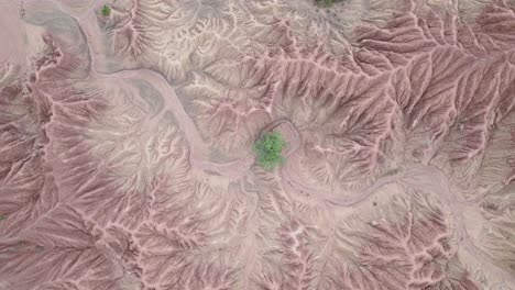 formaciones de arcilla roja y vegetación en el desierto de la tatacoa, colombia