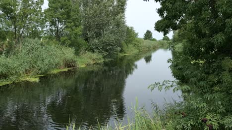 Fluss-Mit-Ruhigem-Wasser,-Umgeben-Von-Grünen-Bäumen