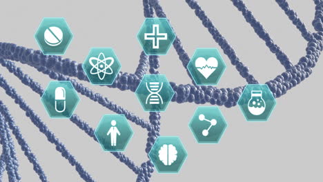 animation of medical icons over dna on grey background