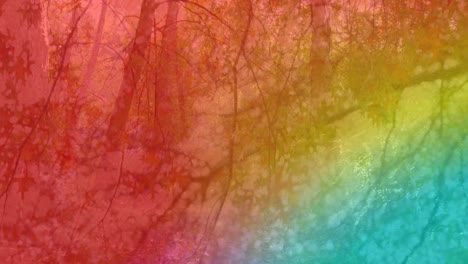 animation of colorful light over forest and leaves