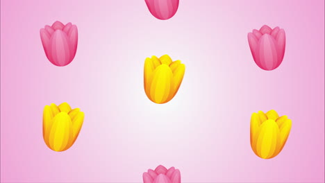 beautifull roses flowers garden pattern animation