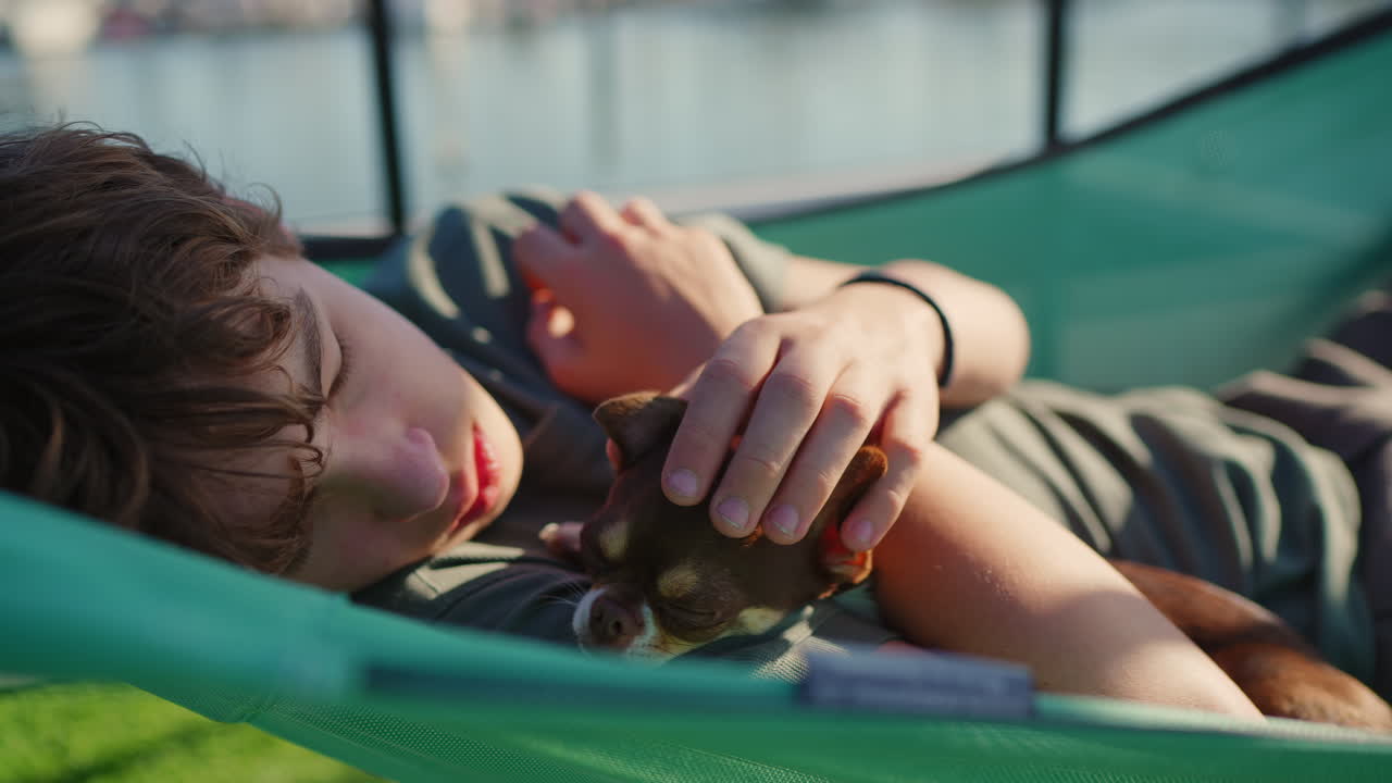 Young Boy and Chihuahua Dog Sleeping Peacefully in Hammock