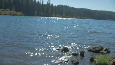 first person view of someone walking up to a young man looking at the scenery of a lake