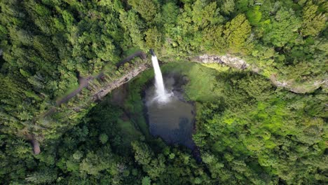 the bridal veil - waireinga falls amidst dense forests near raglan, waikato, north island, new zealand
