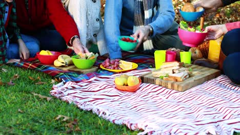 Family-having-picnic-in-the-park