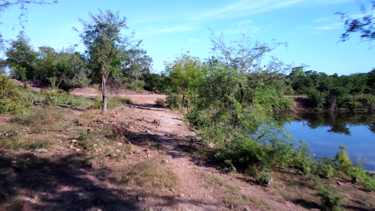walking along the lake, between plants