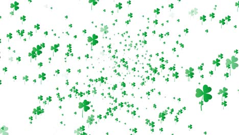 three leaf clover/shamrock