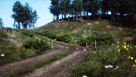 dirt road through forested countryside at sunset