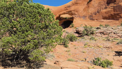 dry desert view of pinto arch; utah