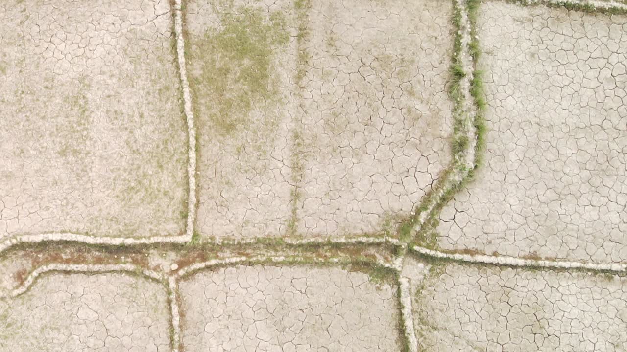 메마른 손상된 풍경을 가로지르는 마른 금이 간 가뭄 골절 농지 섹션 조감도