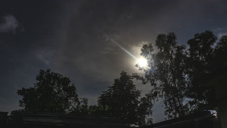 Timelapse-Nocturno-De-La-Luna-Con-Nubes-Y-árboles-En-Primer-Plano