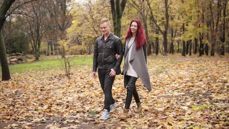 romantic young couple walking in autumn park during the day holding hands. the blanket of golden leaves on the ground. warm weather in autumn