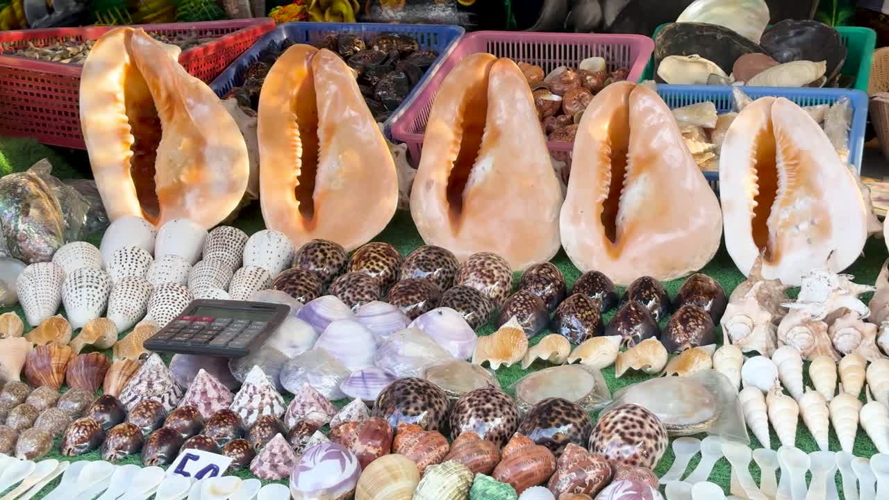 Large seashells and handicrafts arranged on a market table, rotating under bright natural daylight