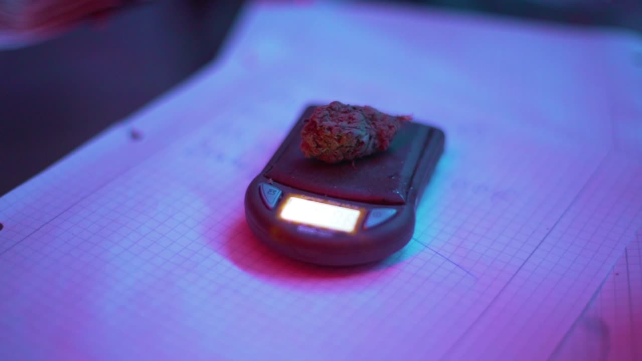 una libra con hierba, luz con led rojos y azules.