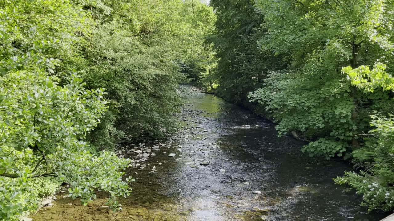 Toma de un antiguo puente de piedra sobre un arroyo poco profundo con bosque denso en la orilla.