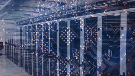 Animation-of-integrated-circuit-over-servers