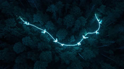 Aerial View of Enigmatic Glowing Creatures Creating a Mystical Trail Through the Dense Forest Under Moonlight