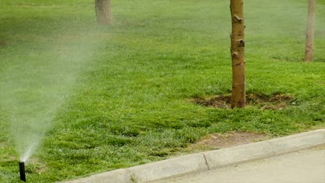 Watering the grass in the park. Selective focus. Nature.