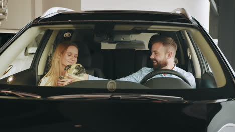 couple with a pug in a car dealership