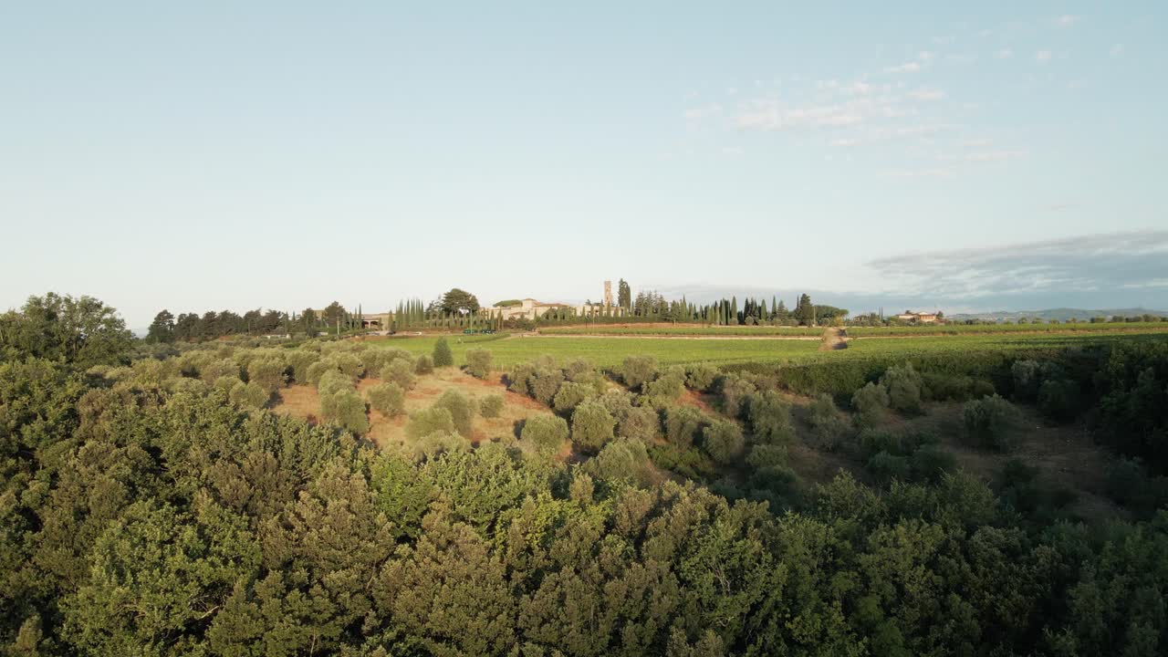Aerial View of Tuscan Countryside: Vineyards, Olive Groves, and Farmhouse