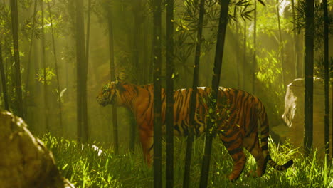 tiger in a bamboo forest