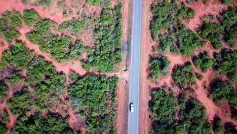 Ein-Nutzfahrzeug-Mit-Touristen,-Die-Auf-Einer-Langen-Asphaltierten-Straße-Auf-Dem-Land-In-Kenia,-Ostafrika,-Fahren