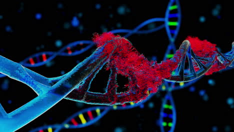 Primer-Plano-De-La-Animación-De-La-Hebra-De-Adn-En-Desintegración-Sobre-Fondo-Azul-Oscuro,-Giro-De-Adn-Mientras-La-Célula-Se-Está-Desintegrando,-Propagación-De-La-Infección-Por-Virus