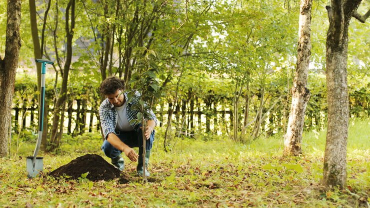 A portrait of a farmer gardening. He plants a tree. He puts the tree into a hole and then - looks at it. Blurred background