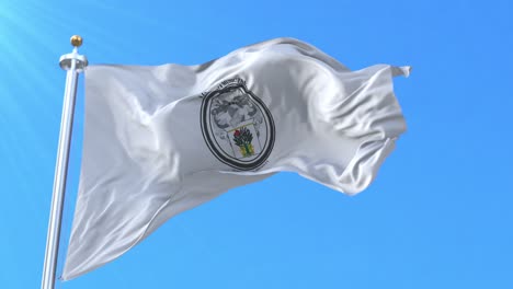 ocotal flag, nueva segovia, nicaragua. loop