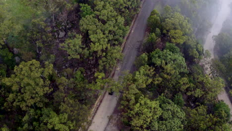 antena: dron siguiendo la conducción de un automóvil en un camino sinuoso a través de un bosque nublado