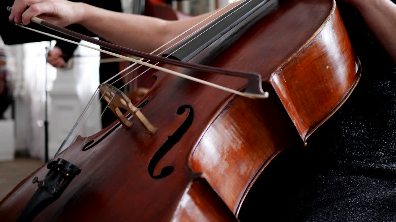 close-up of a contrabass with a fiddle-bow, female hand playing on instrument