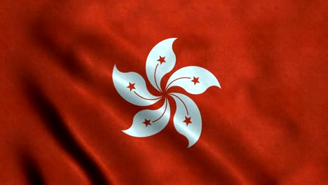 4k seamless loopable flag of hongkong