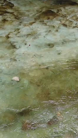 gentle clean water flow, vertical view at japanese white stone marbled river, close up texture landscape