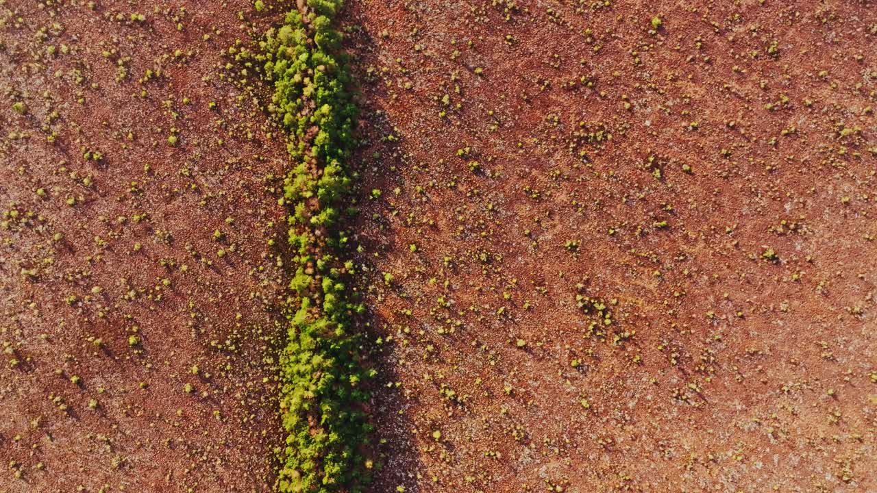 Latvian bog landscape at golden hour shows contrasting tones of life and decay