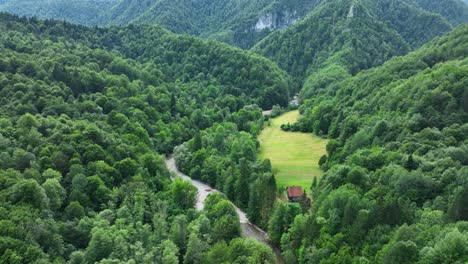 aerial view of a serene forest valley with a river and cabin