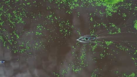 boat with people on traveling on amazon river - aerial birds eye view